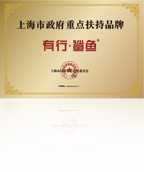 上海市政府重点扶持品牌